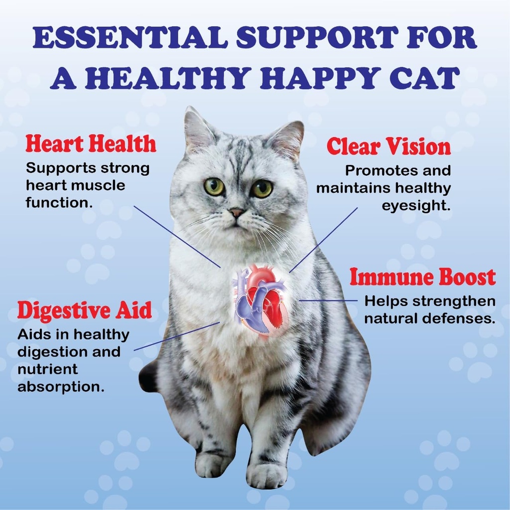 taurine-for-cats-pure-taurine-supplement-5.jpg