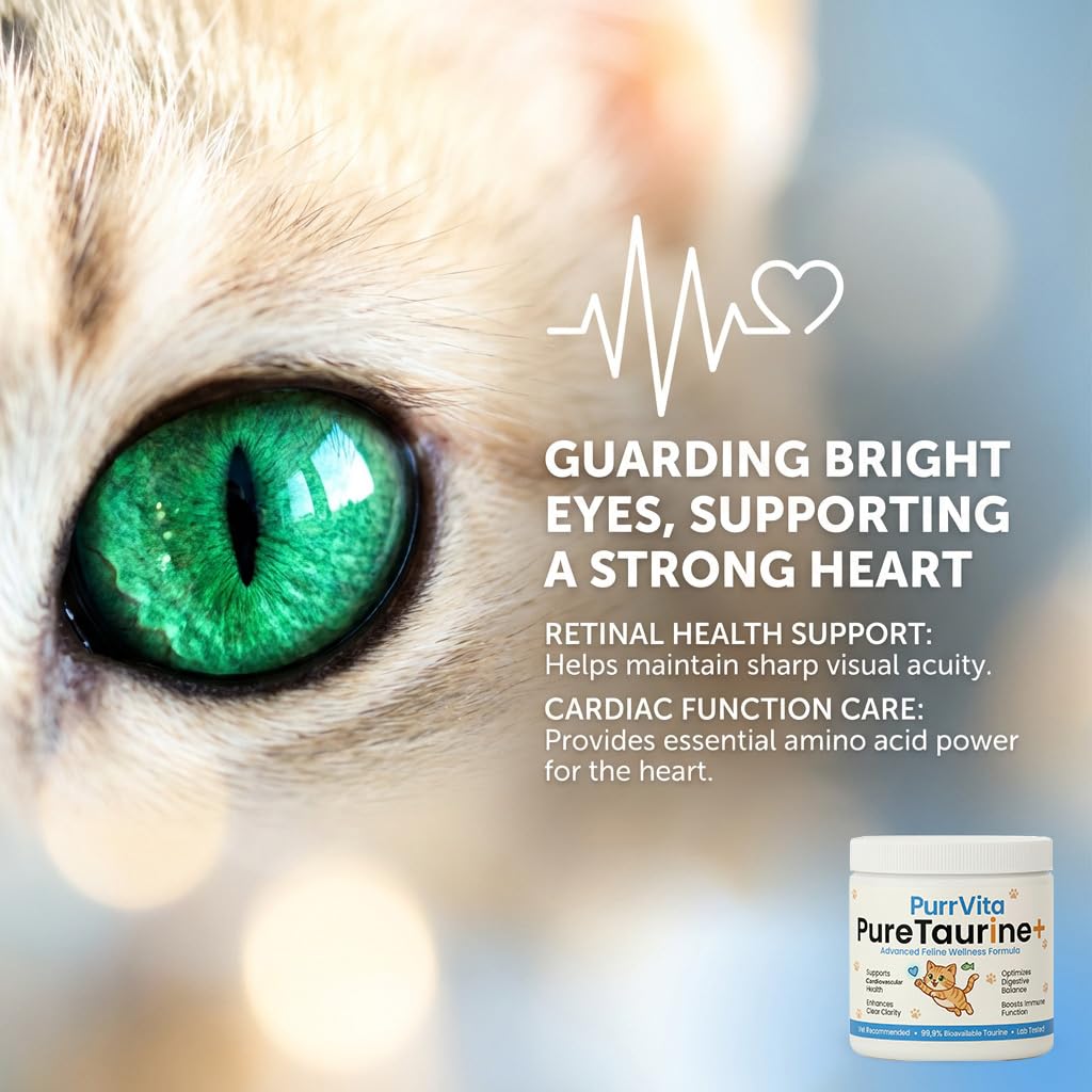 taurine-for-cats-pure-taurine-supplement-3.jpg