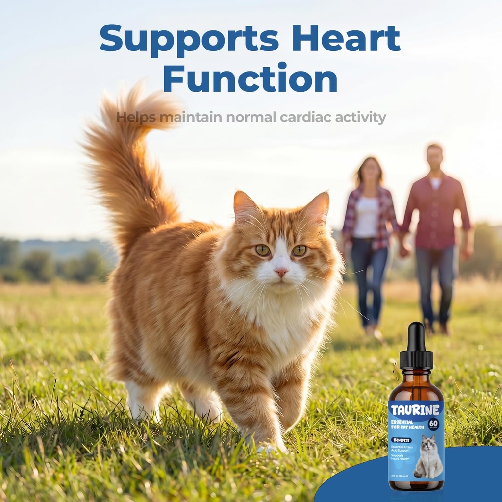 taurine-supplement-for-cats-drops-daily--3.jpg