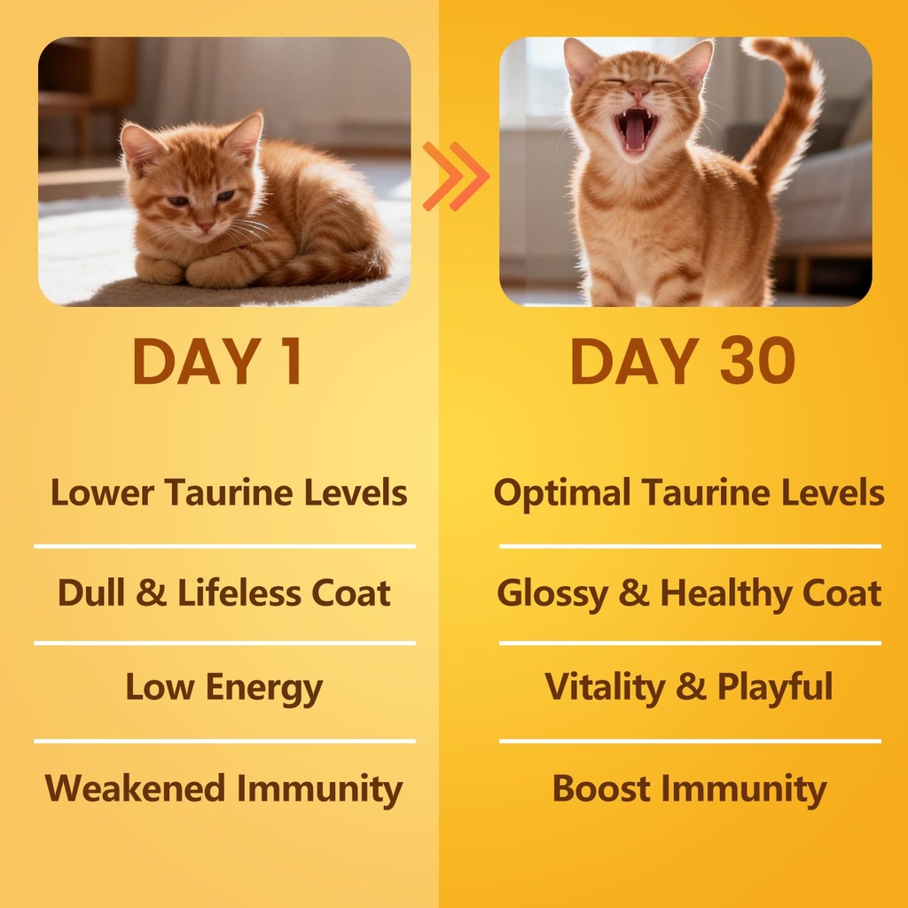 pure-taurine-for-cats-taurine-powder-sup-4.jpg