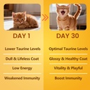 pure-taurine-for-cats-taurine-powder-sup-4.jpg