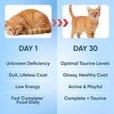 kittysupplement-taurine-for-cats-200-gra-4.jpg