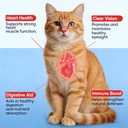 kittysupplement-taurine-for-cats-200-gra-6.jpg