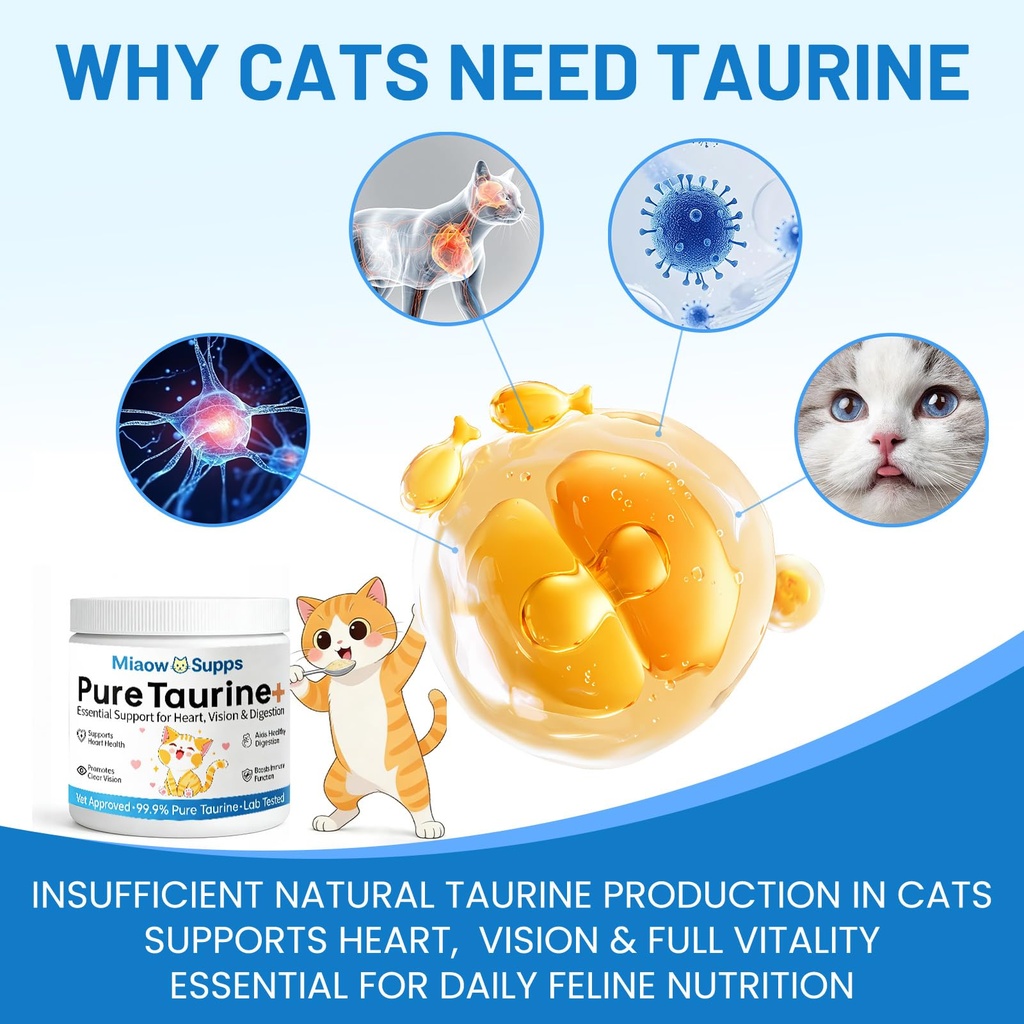 taurine-supplement-for-cats-supports-hea-3.jpg