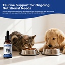 taurine-supplement-for-dogs-cats-liquid--2.jpg
