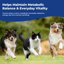 taurine-supplement-for-dogs-cats-liquid--5.jpg
