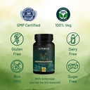 ambrosial-ashwagandha-500mg-pack-of-1-60-6.jpg