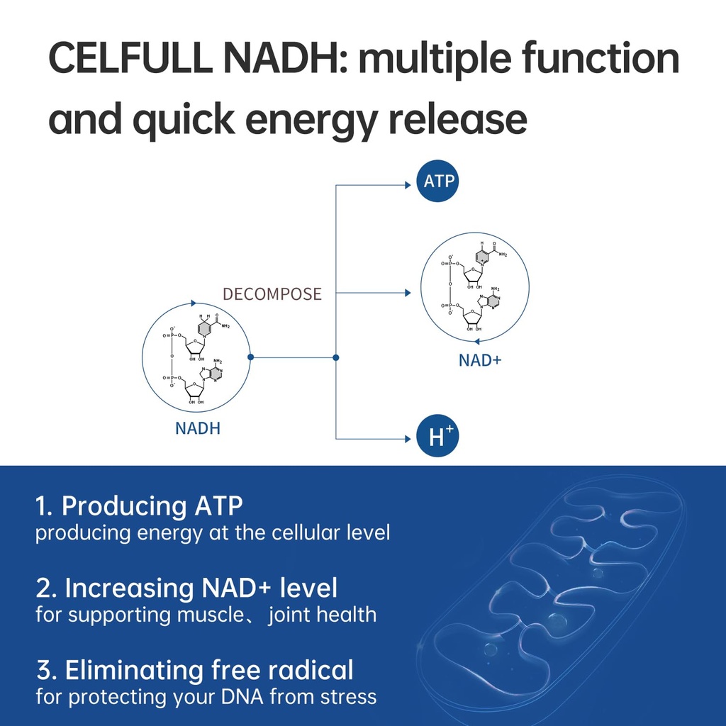 celfull-nadh-supplement-40mg-enchance-nm-2.jpg