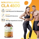 purity-labs-cla-supplements-4500mg-non-g-2.jpg