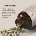 stinging-nettle-root-usda-organic-120-ca-2.jpg