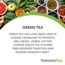 naturesplus-herbal-actives-chinese-green-2.jpg