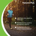 naturesplus-herbal-actives-chinese-green-3.jpg