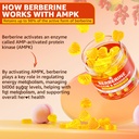 lilicare-berberine-supplement-gummies-su-4.jpg