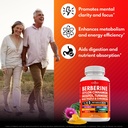 berberine-and-ceylon-cinnamon-supplement-3.jpg