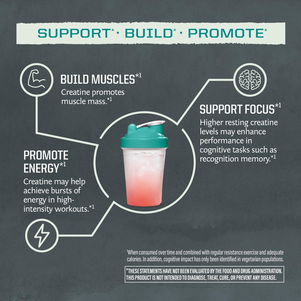 creatine-monohydrate-powder-micronized-p-4.jpg