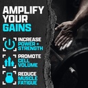 nutrex-research-creatine-monohydrate-pow-3.jpg