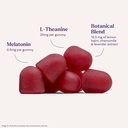 natrol-kids-sleep-calm-sleep-gummies-for-4.jpg