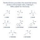 bodyhealth-perfectamino-150-ct-easy-to-s-4.jpg