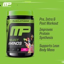 musclepharm-select-amino-s-eaa-bcaas-pos-4.jpg