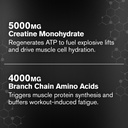 jacked-factory-creatine-bcaas-creatine-m-5.jpg