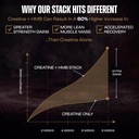creatine-hmb-supplements-for-men-and-wom-3.jpg