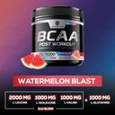 post-workout-recovery-powder-with-bcaa-e-3.jpg