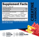 nutricost-creatine-aminos-30-servings-fr-2.jpg