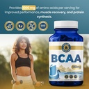 vykee-nutrition-bcaa-capsules-supports-m-4.jpg