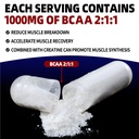 micronized-creatine-monohydrate-6000mg-c-5.jpg