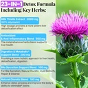 3000mg-liver-detox-repair-cleanse-gummie-5.jpg