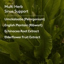 children-s-ear-nose-throat-syrup-herbal--6.jpg