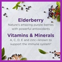 zarbee-s-elderberry-syrup-for-kids-daily-3.jpg