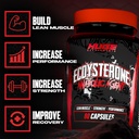 huge-supplements-ecdysterone-supplement--3.jpg
