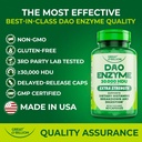 dao-enzyme-diamine-oxidase-digestive-enz-5.jpg