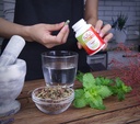eclectic-herb-raw-freeze-dried-nettle-le-6.jpg
