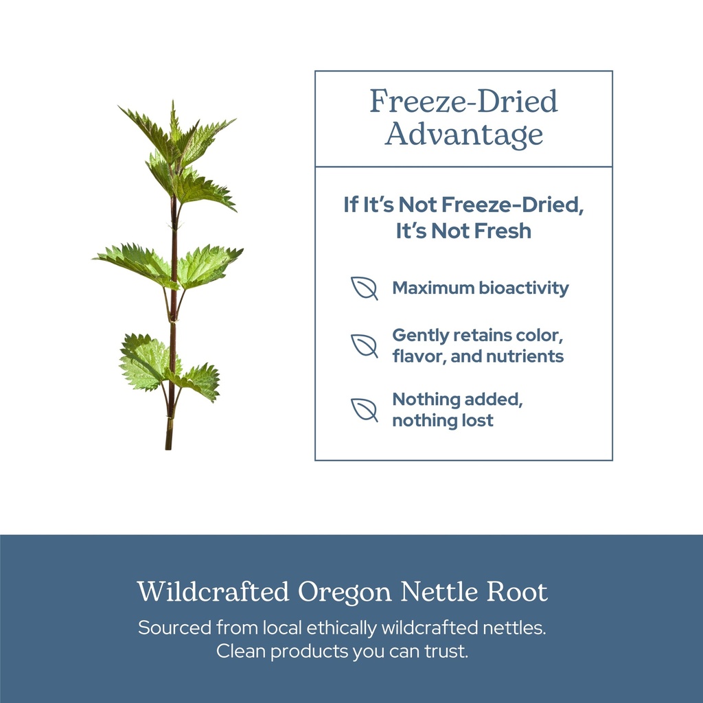 eclectic-herb-nettle-root-capsules-prost-5.jpg