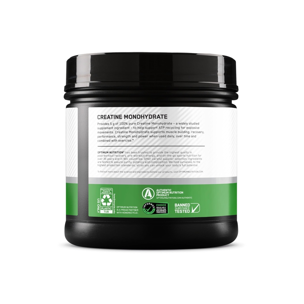 optimum-nutrition-micronized-creatine-po-3.jpg