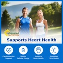 asquared-nutrition-coq10-400mg-max-stren-6.jpg