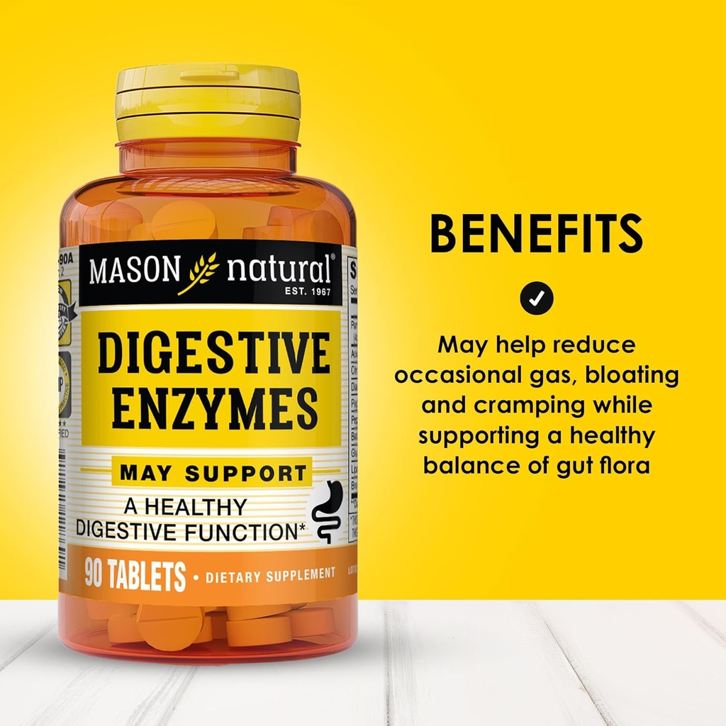 mason-natural-digestive-enzymes-with-pre-2.jpg