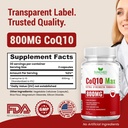coq10-powerful-antioxidant-supplement-ex-2.jpg