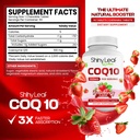 shiny-leaf-coq10-100mg-chewable-coq10-su-2.jpg