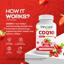 shiny-leaf-coq10-100mg-chewable-coq10-su-3.jpg