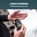 ancient-nutrition-probiotics-for-mental--4.jpg