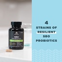 ancient-nutrition-probiotics-for-mental--5.jpg