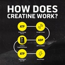 ascent-clean-creatine-monohydrate-powder-5.jpg