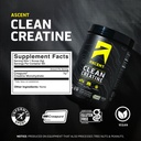 ascent-clean-creatine-monohydrate-powder-4.jpg