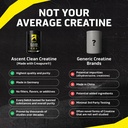 ascent-clean-creatine-monohydrate-powder-3.jpg