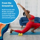 garden-of-life-protein-creatine-bundle-v-3.jpg
