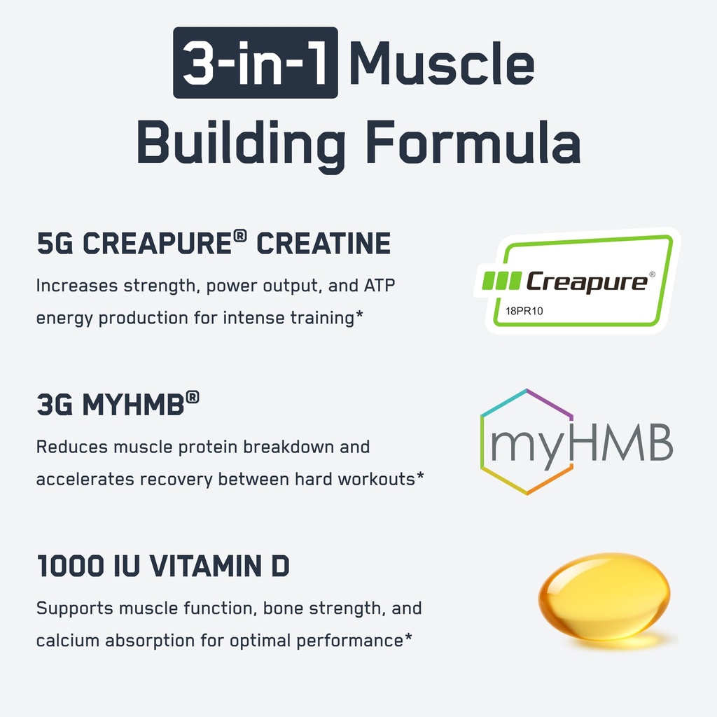 steelfit-creatine-hmb-powder-5g-creapure-3.jpg