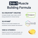 steelfit-creatine-hmb-powder-5g-creapure-3.jpg